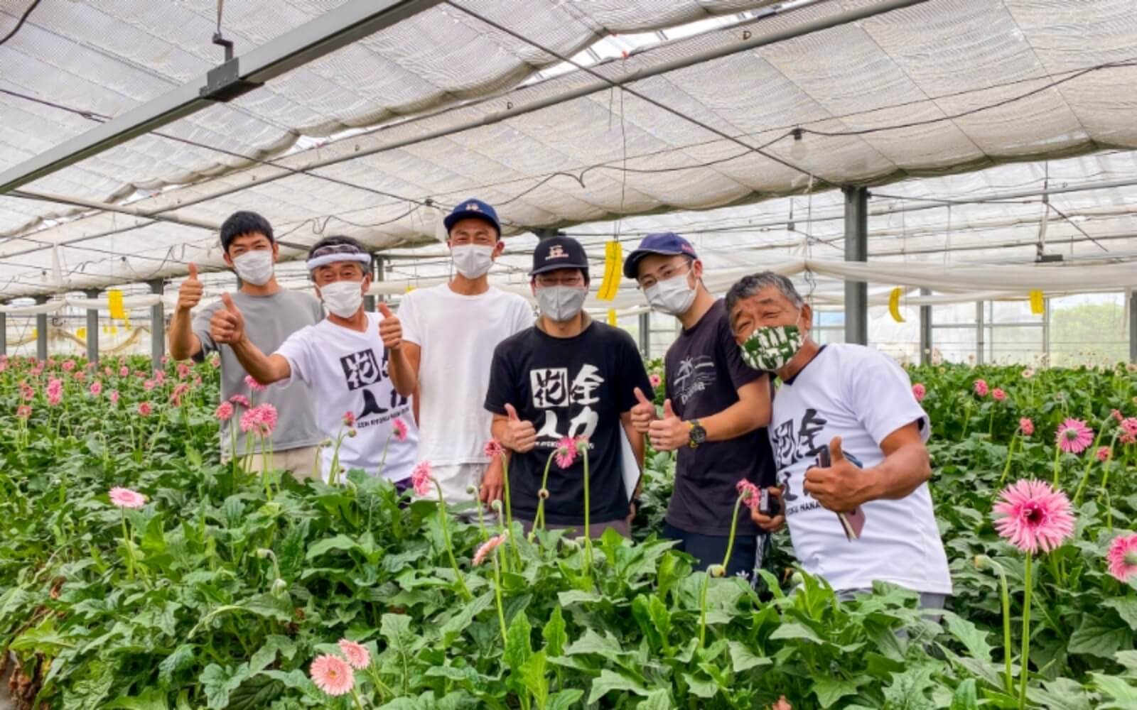 ガーベラの花言葉〈希望〉に込めて。希望と愛をお届けします。