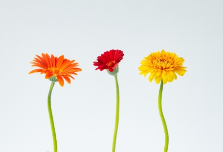 花の現場の課題