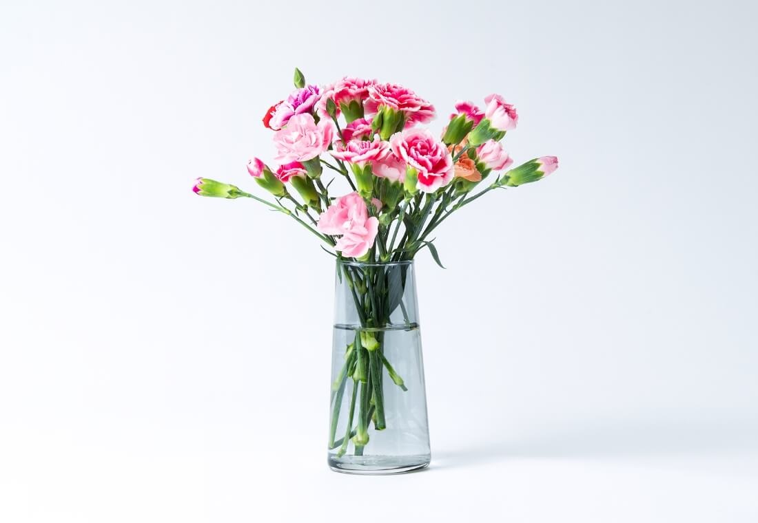 カーネーション 7本