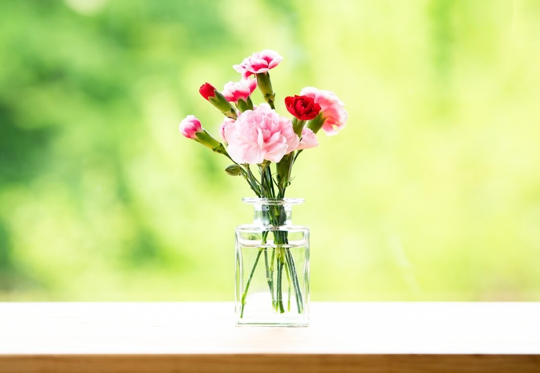 カーネーション 3本