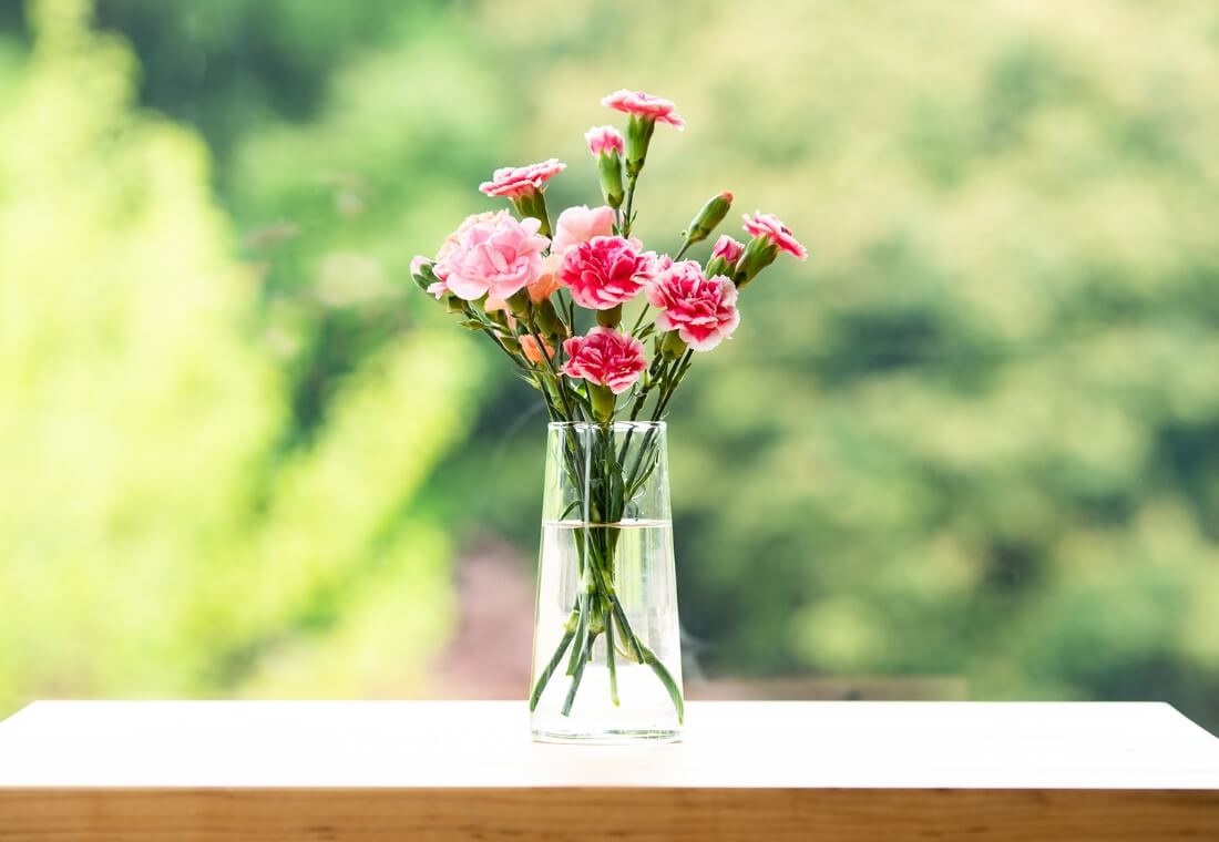 カーネーション 5本