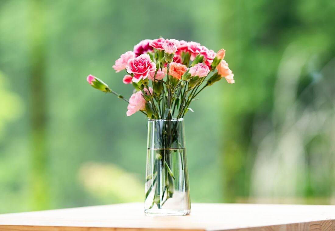 カーネーション 7本