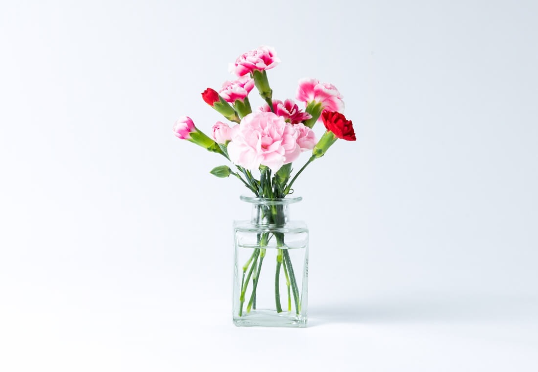 カーネーション 3本