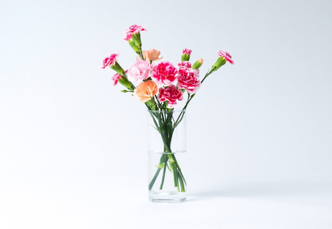 カーネーション 5本